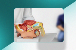 hiperplasia da próstata; embolização