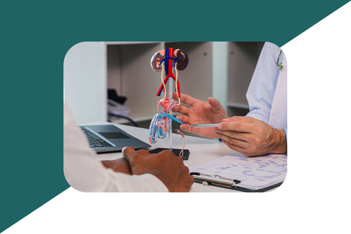 Hiperplasia Prostática Benigna; embolização